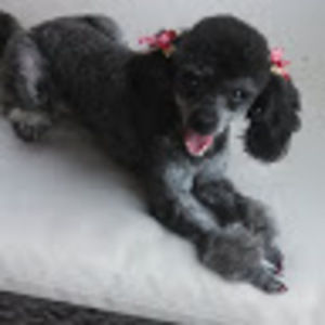 Meet your Posher, Shon